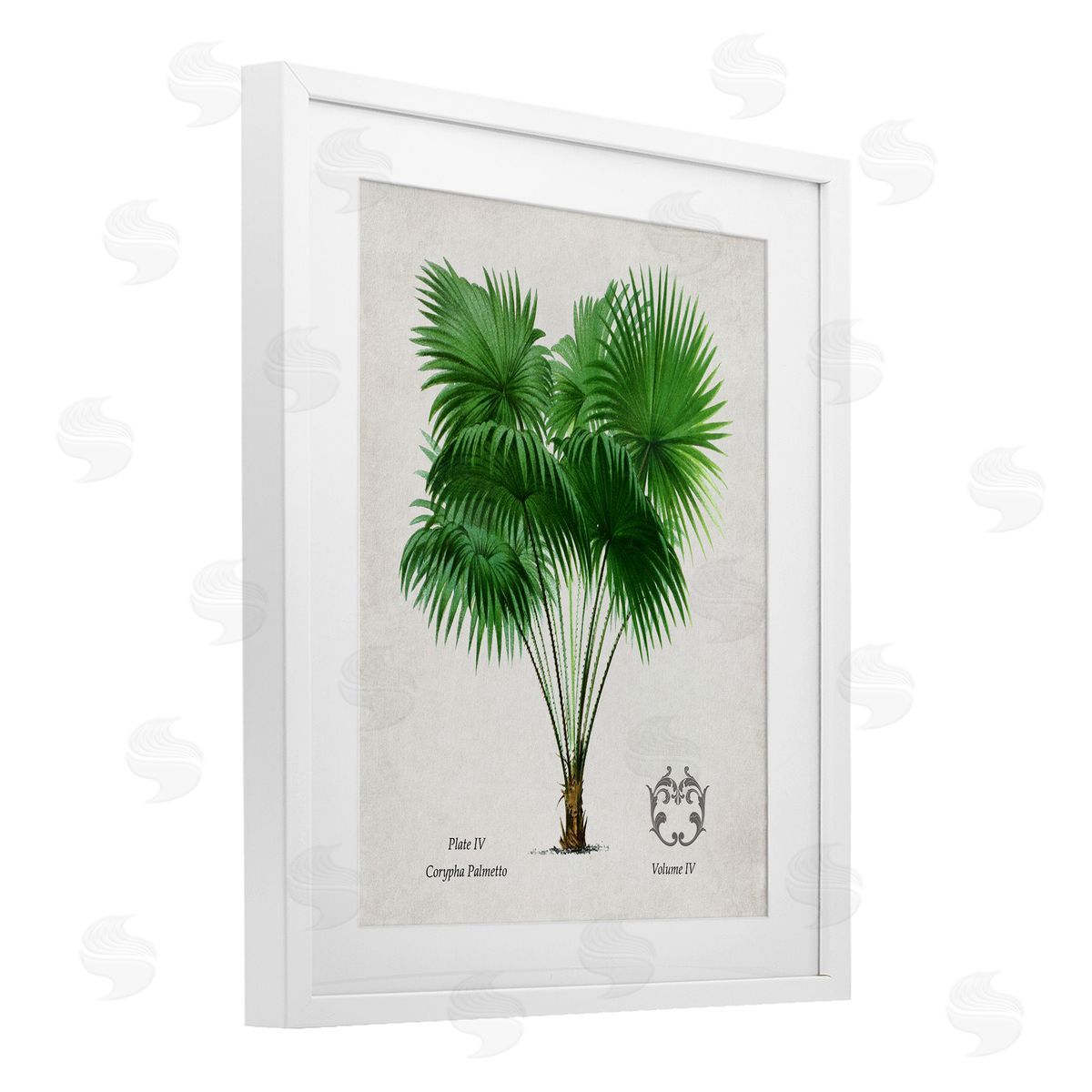 Val Rhodes Vintage Fan Palm Plant Canvas Wall Art Print