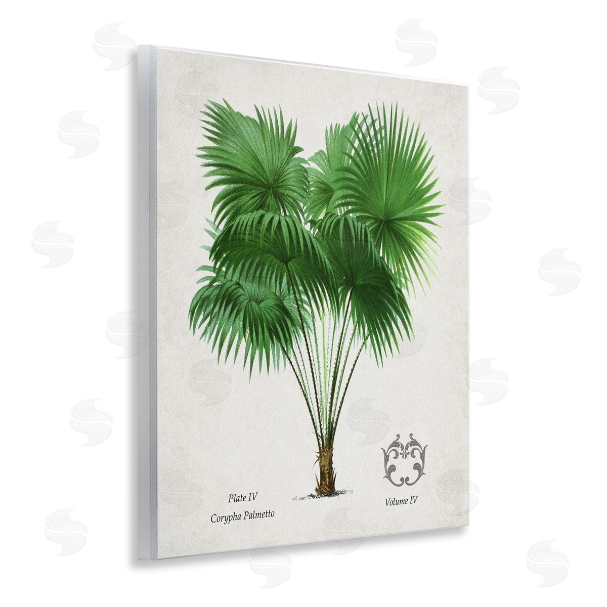 Val Rhodes Vintage Fan Palm Plant Canvas Wall Art Print