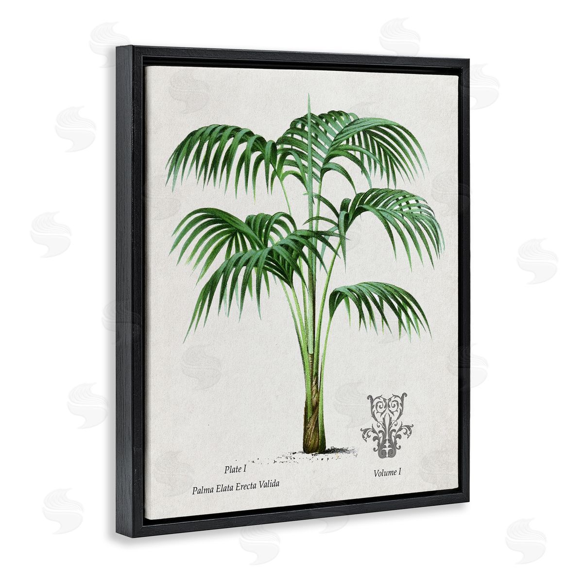 Val Rhodes Vintage Palm Illustration Canvas Wall Art Print