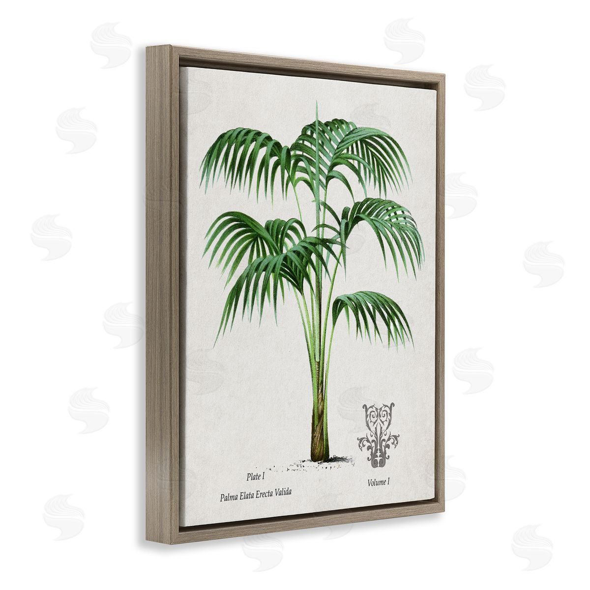 Val Rhodes Vintage Palm Illustration Canvas Wall Art Print