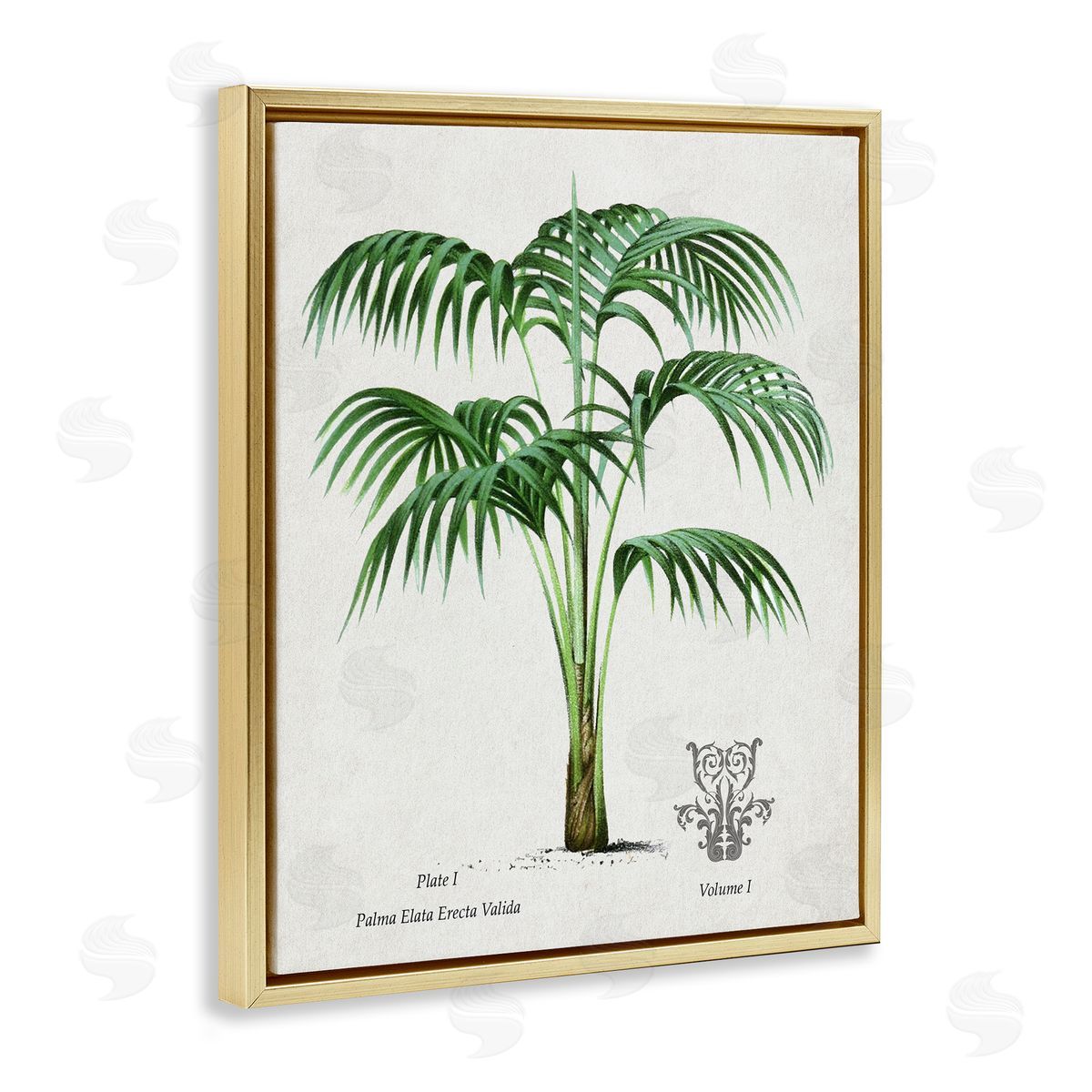 Val Rhodes Vintage Palm Illustration Canvas Wall Art Print