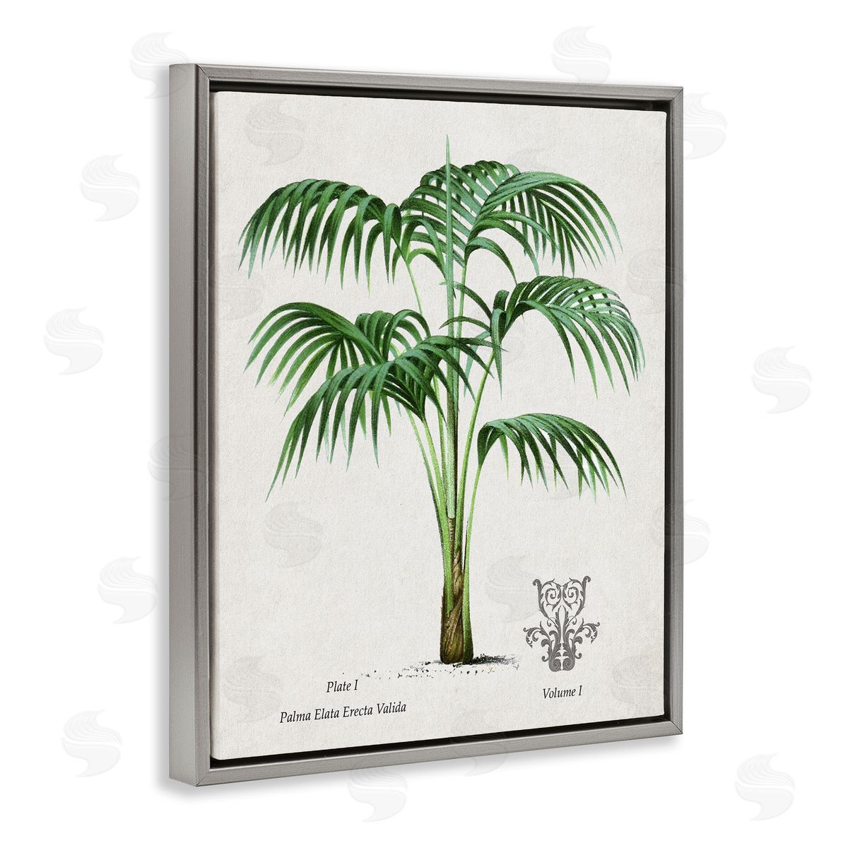 Val Rhodes Vintage Palm Illustration Canvas Wall Art Print