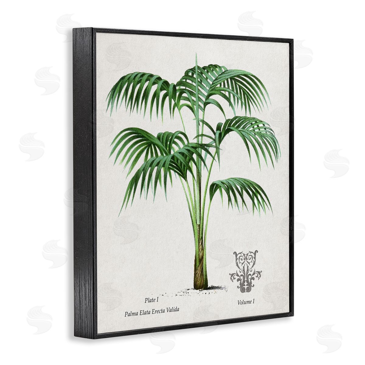 Val Rhodes Vintage Palm Illustration Canvas Wall Art Print