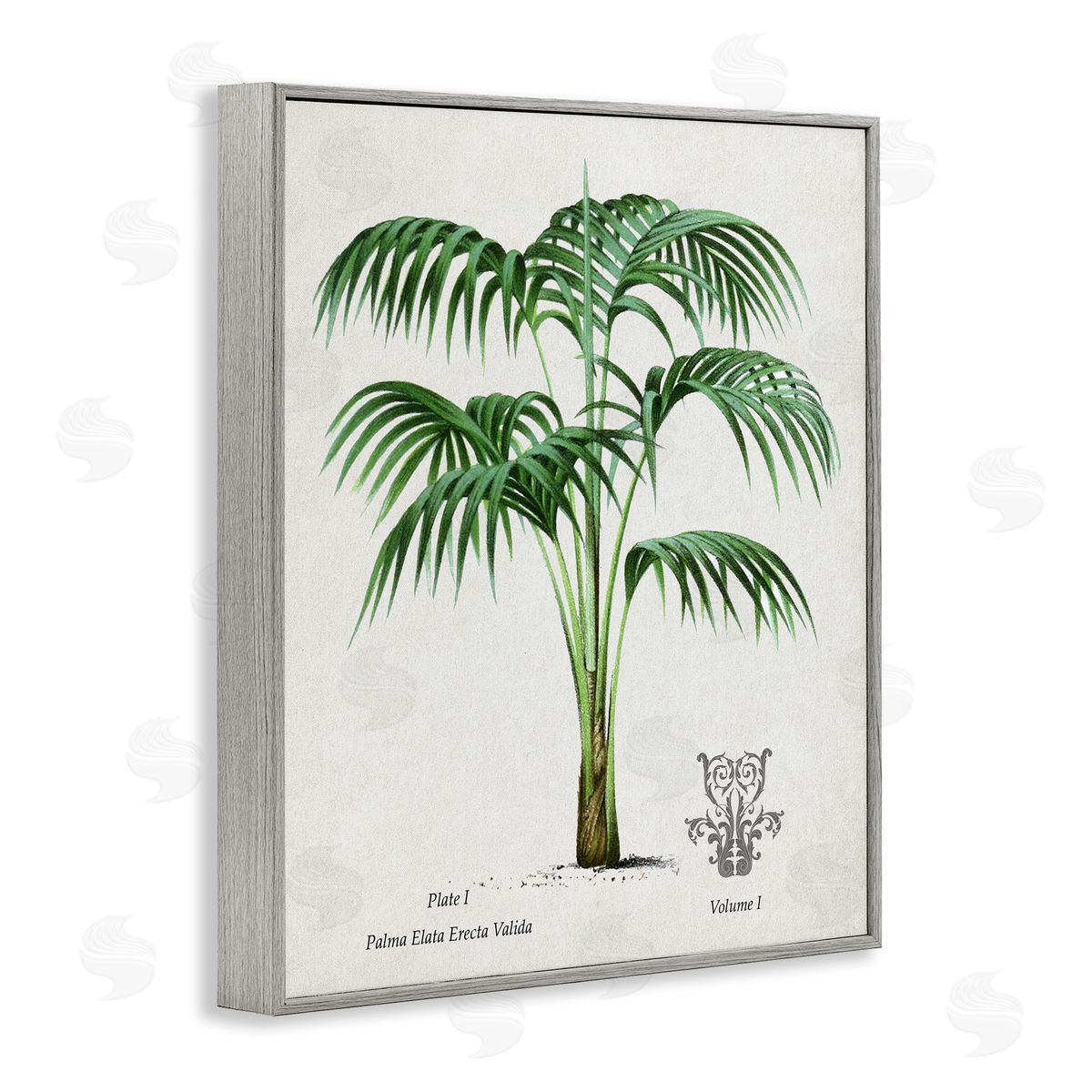 Val Rhodes Vintage Palm Illustration Canvas Wall Art Print
