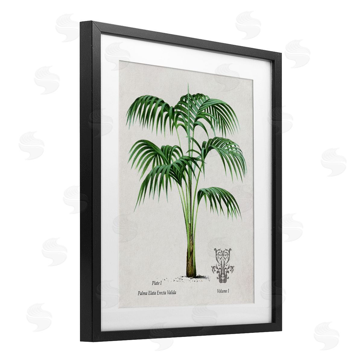 Val Rhodes Vintage Palm Illustration Canvas Wall Art Print