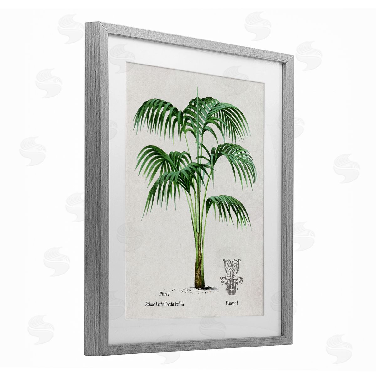 Val Rhodes Vintage Palm Illustration Canvas Wall Art Print