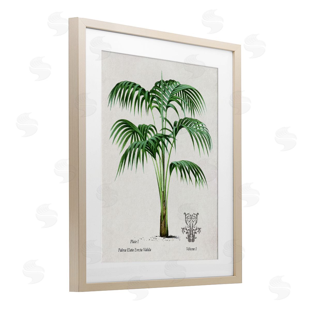 Val Rhodes Vintage Palm Illustration Canvas Wall Art Print