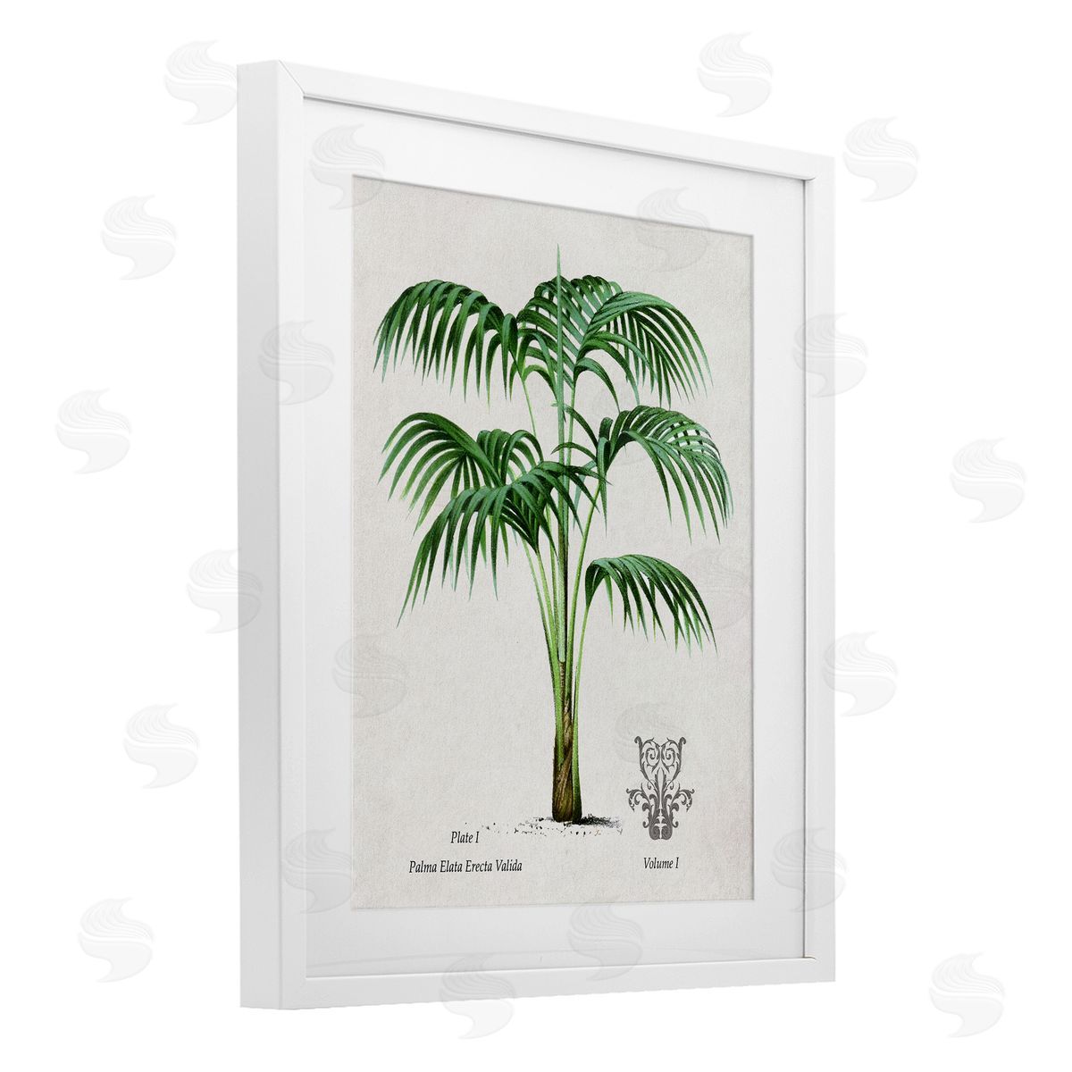 Val Rhodes Vintage Palm Illustration Canvas Wall Art Print