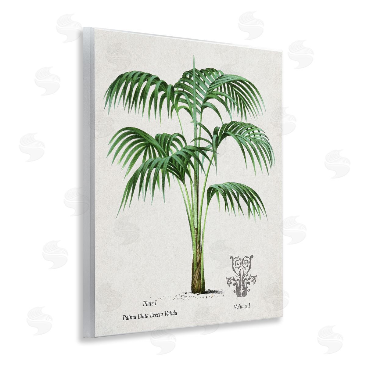 Val Rhodes Vintage Palm Illustration Canvas Wall Art Print