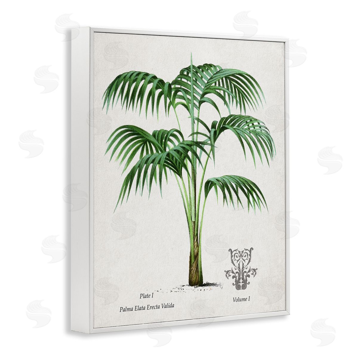 Val Rhodes Vintage Palm Illustration Canvas Wall Art Print