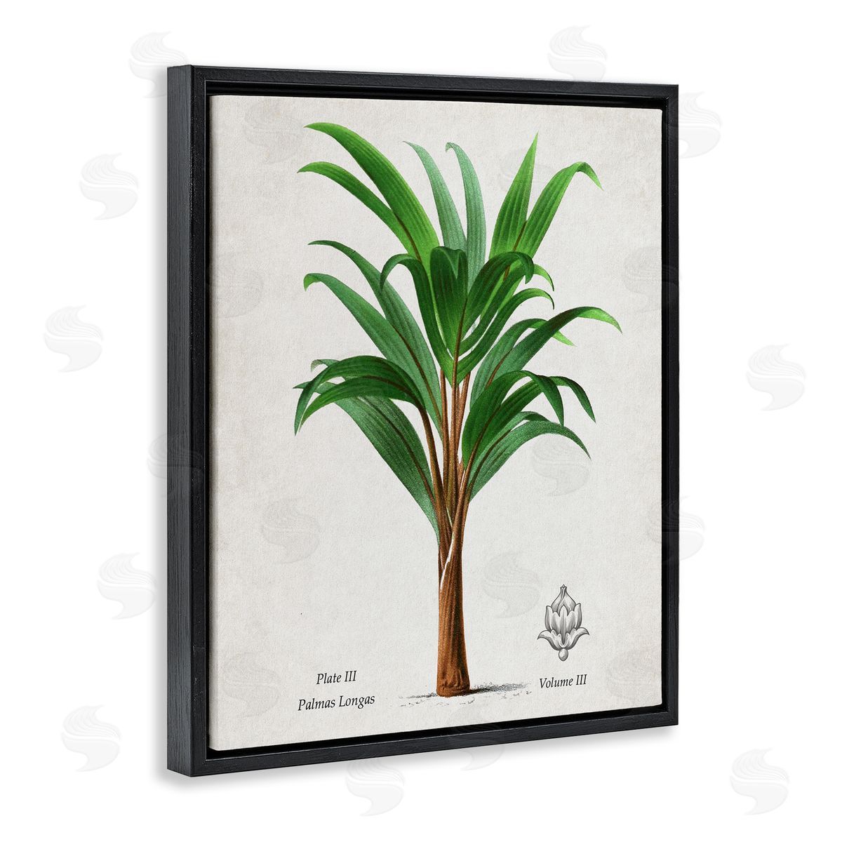 Val Rhodes Vintage Banana Leaf Palm Canvas Wall Art Print