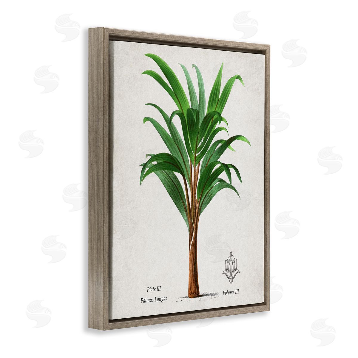 Val Rhodes Vintage Banana Leaf Palm Canvas Wall Art Print