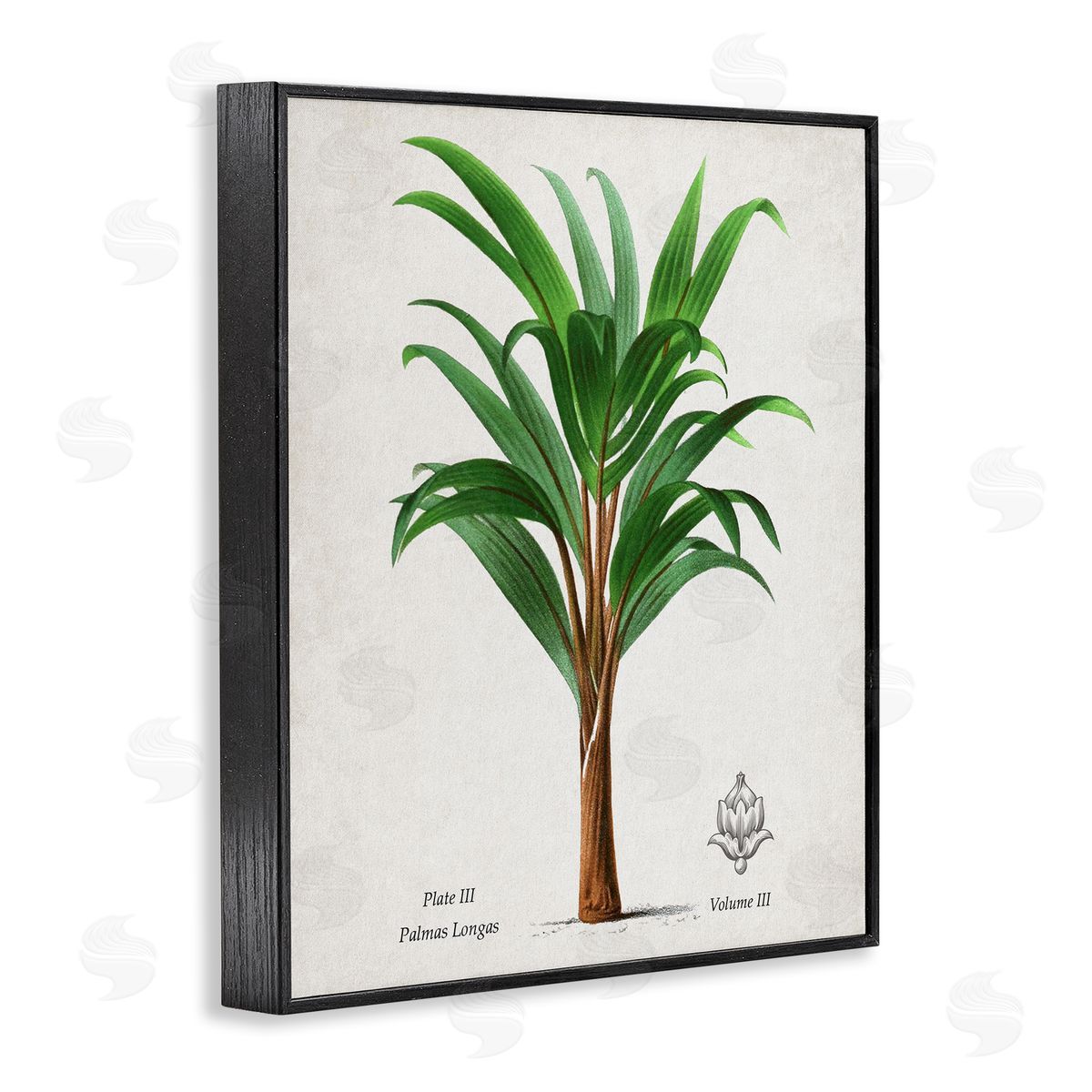 Val Rhodes Vintage Banana Leaf Palm Canvas Wall Art Print