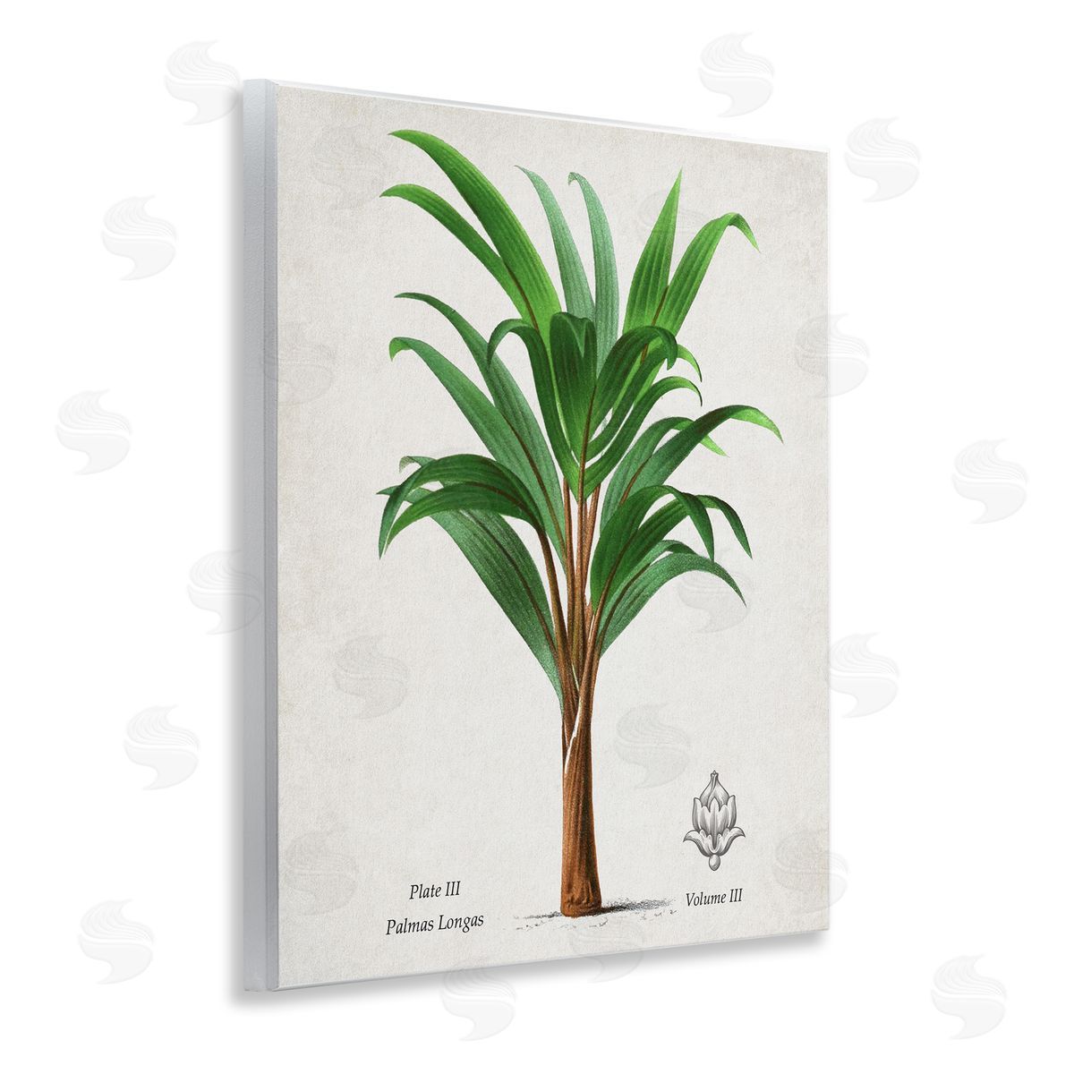 Val Rhodes Vintage Banana Leaf Palm Canvas Wall Art Print