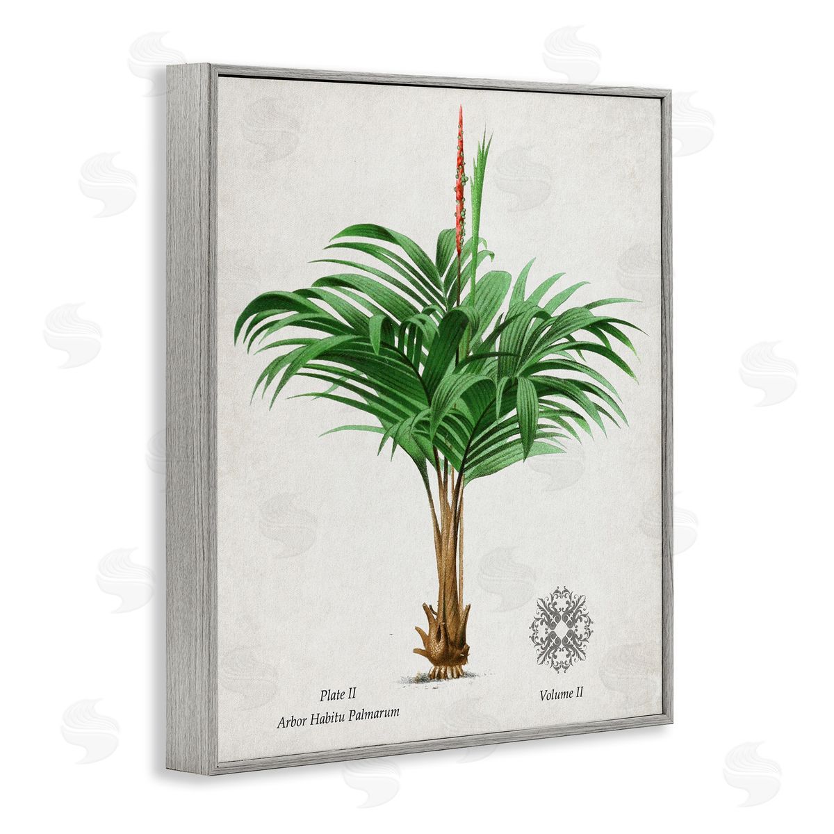 Val Rhodes Vintage Wide Palm Plant Canvas Wall Art Print