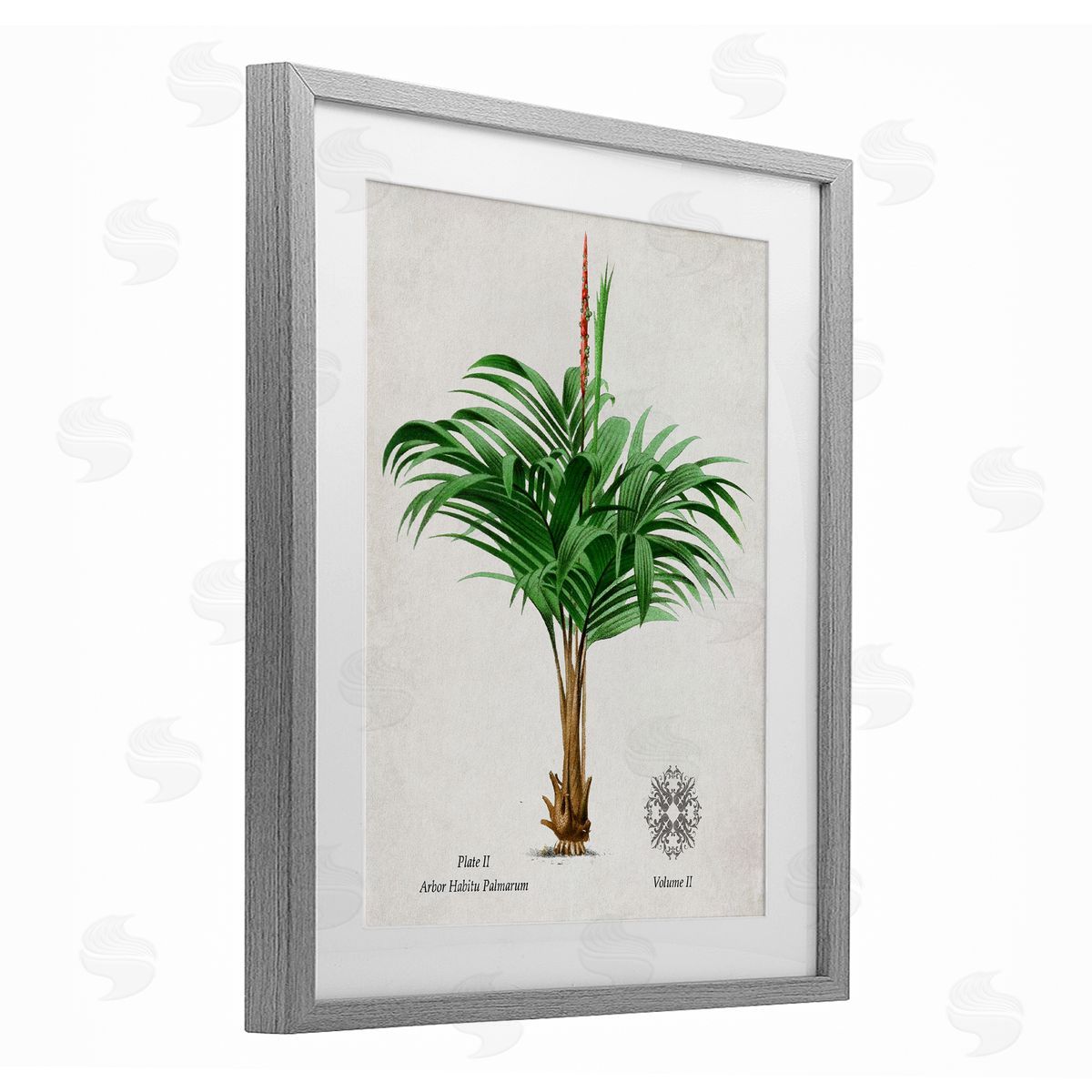 Val Rhodes Vintage Wide Palm Plant Canvas Wall Art Print