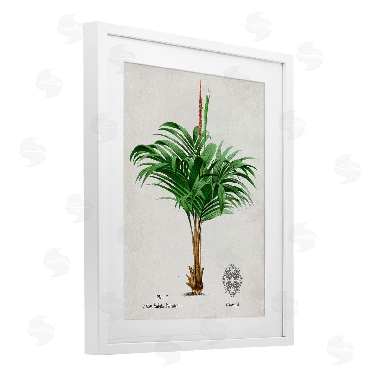 Val Rhodes Vintage Wide Palm Plant Canvas Wall Art Print