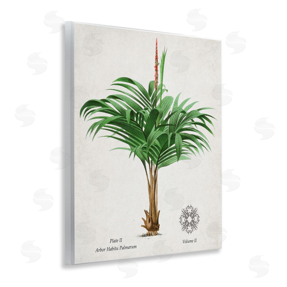 Val Rhodes Vintage Wide Palm Plant Canvas Wall Art Print