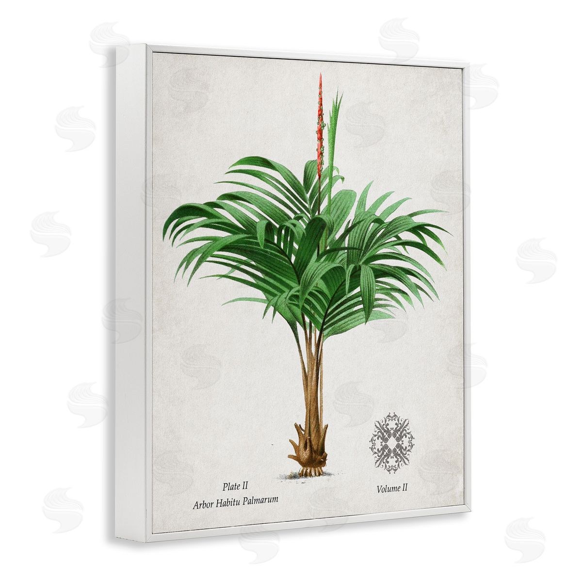 Val Rhodes Vintage Wide Palm Plant Canvas Wall Art Print