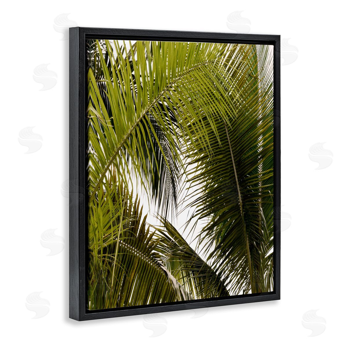 Natalie Carpentieri Layered Palm Details Canvas Wall Art Print