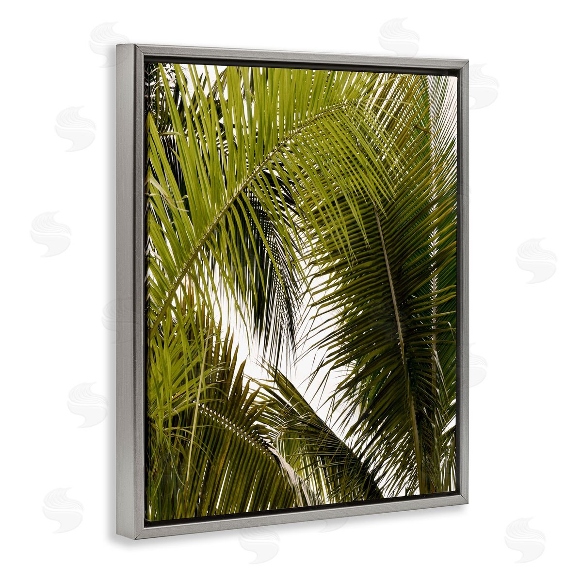 Natalie Carpentieri Layered Palm Details Canvas Wall Art Print