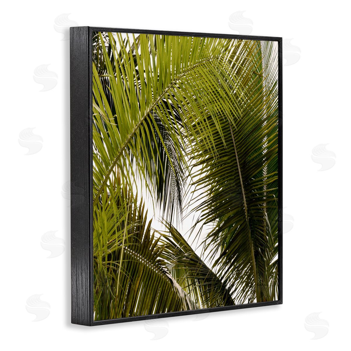 Natalie Carpentieri Layered Palm Details Canvas Wall Art Print