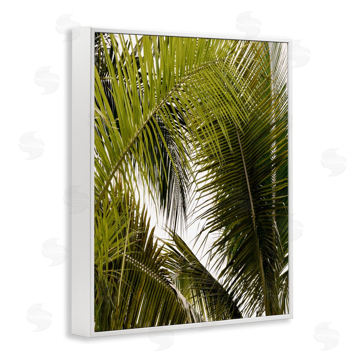 Natalie Carpentieri Layered Palm Details Canvas Wall Art Print