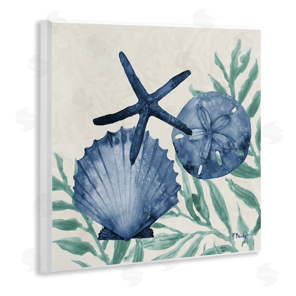 Paul Brent Tampico Shells in Blue Canvas Wall Art Print