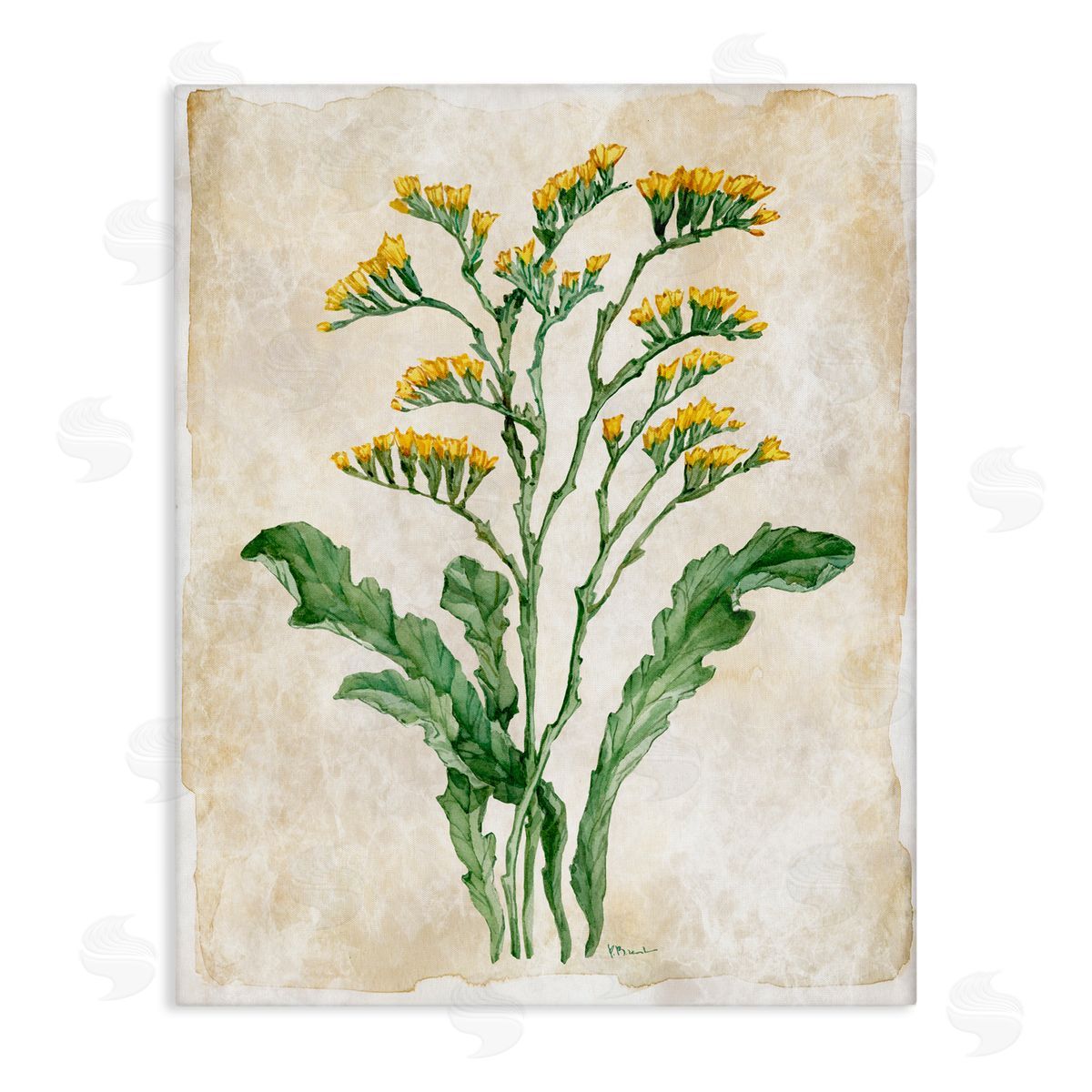 Paul Brent Vintage Floral Journal Canvas Wall Art Print