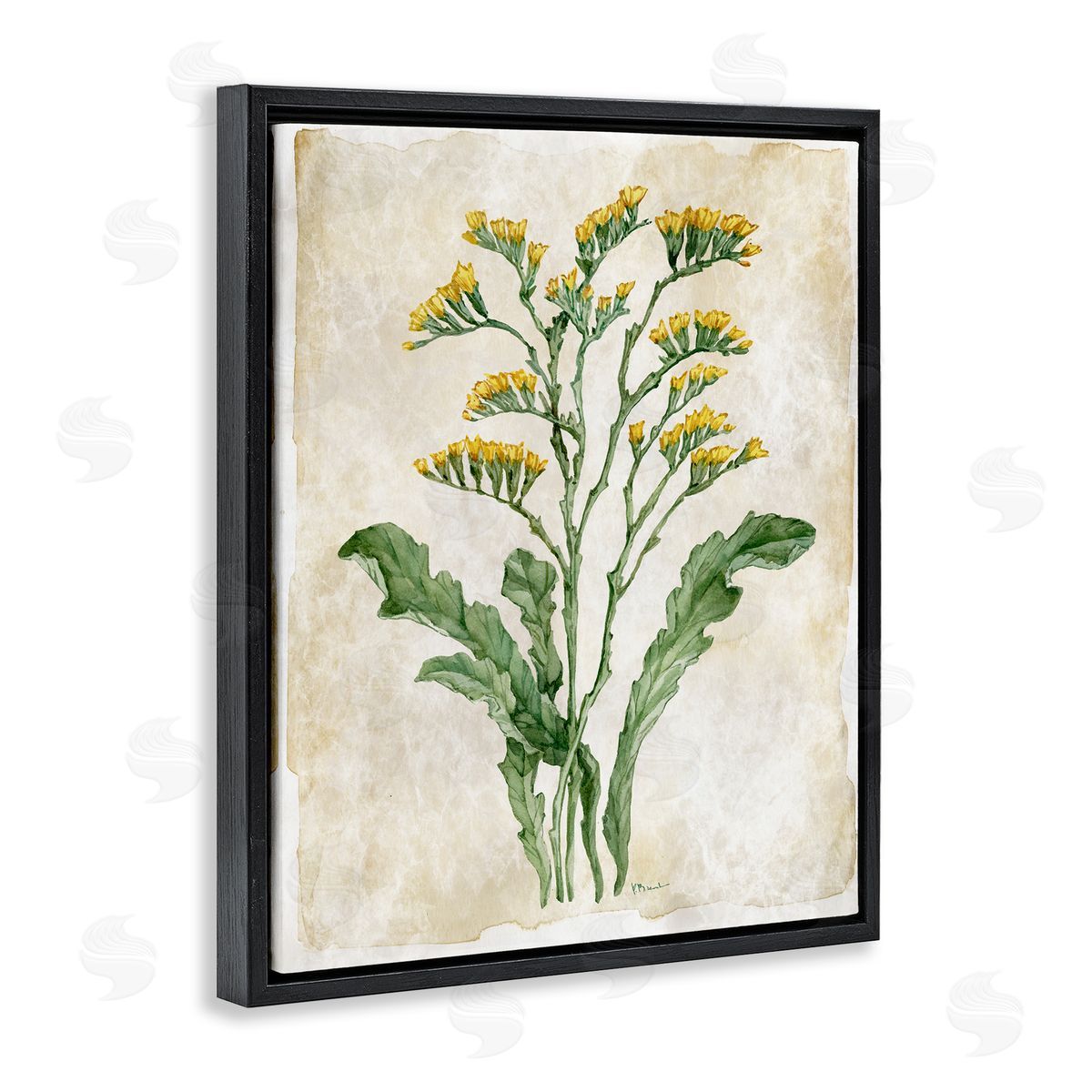 Paul Brent Vintage Floral Journal Canvas Wall Art Print