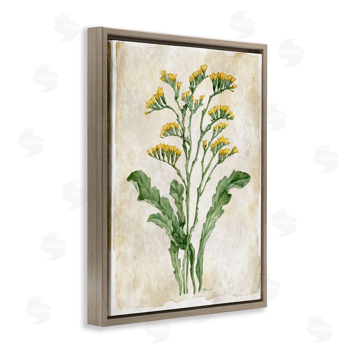 Paul Brent Vintage Floral Journal Canvas Wall Art Print
