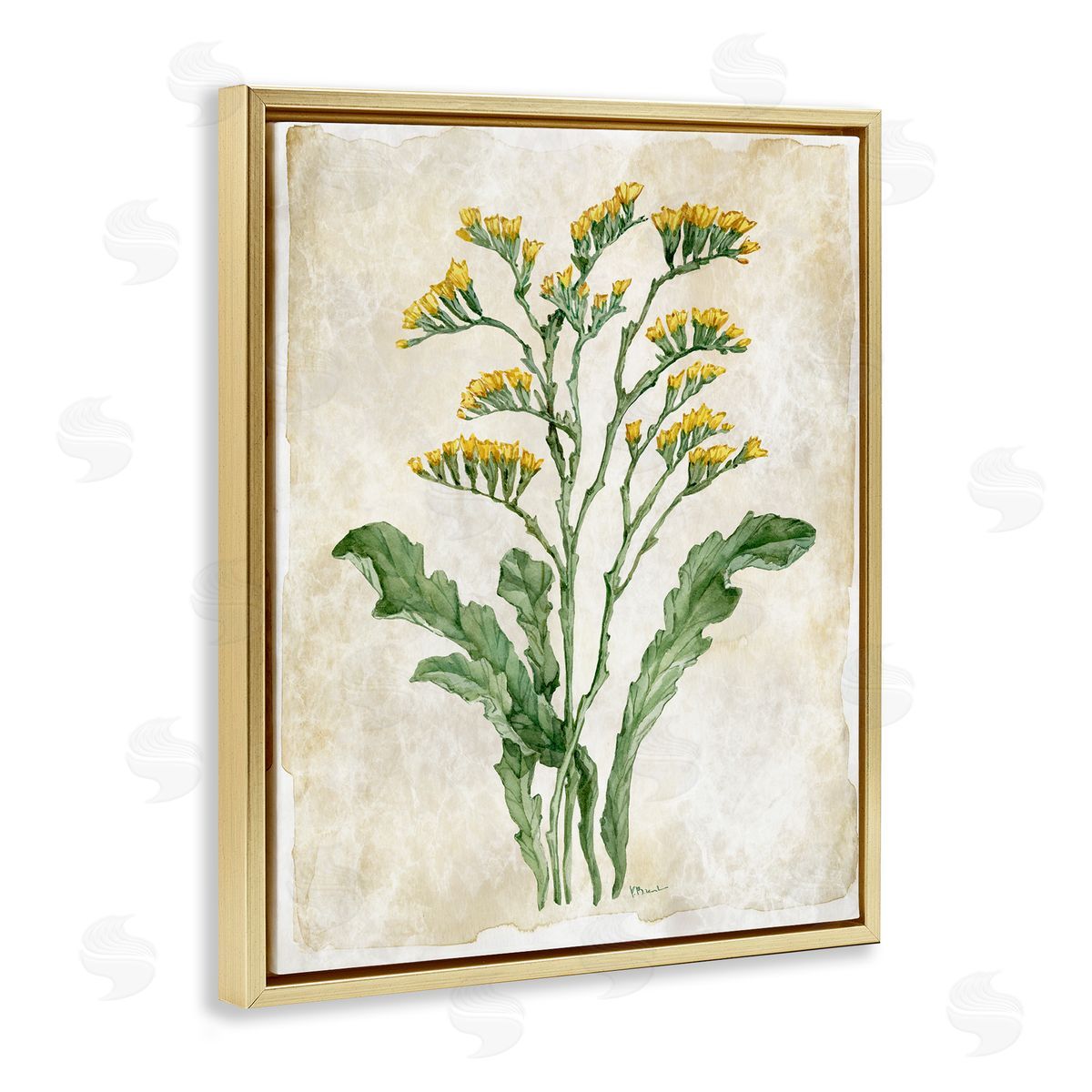 Paul Brent Vintage Floral Journal Canvas Wall Art Print