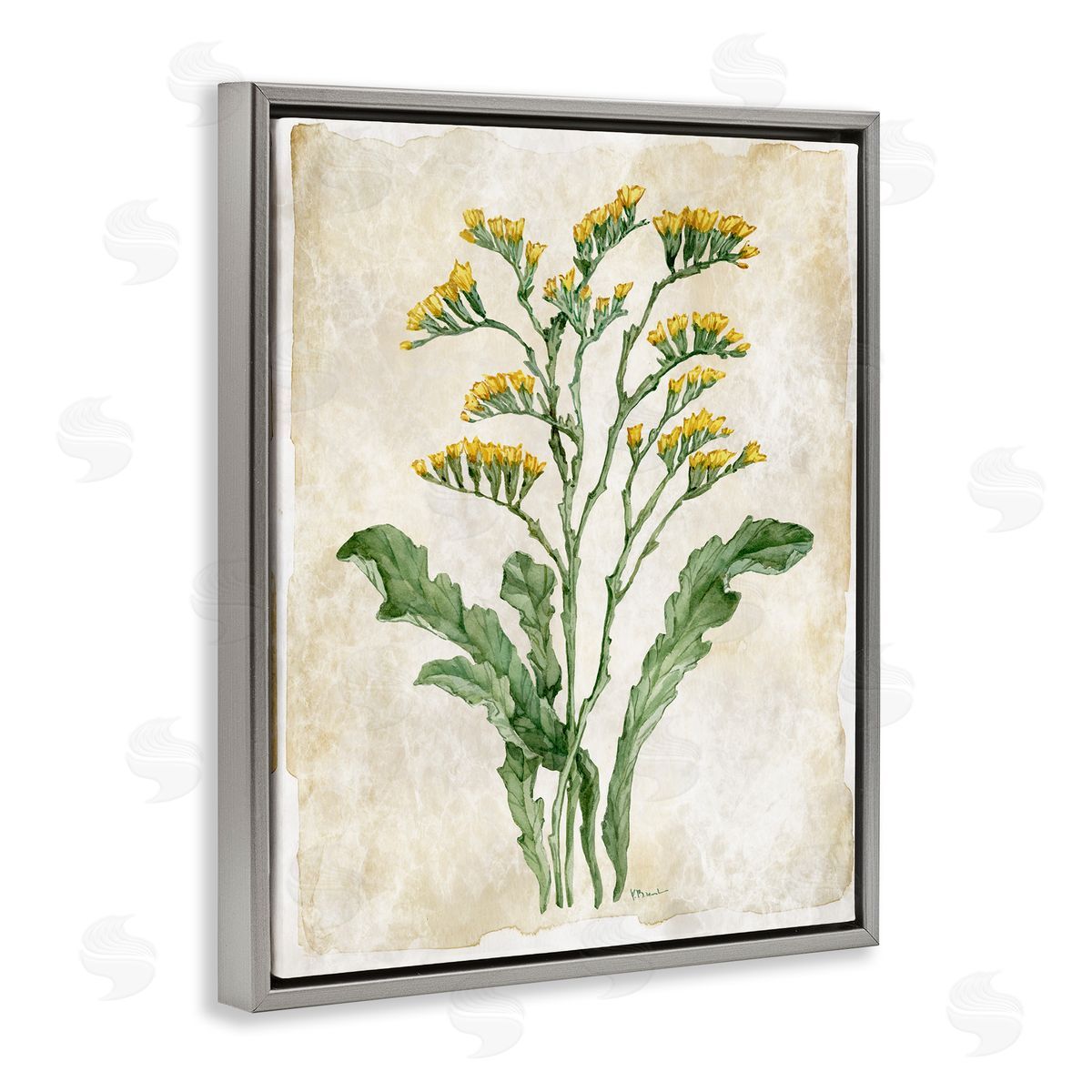 Paul Brent Vintage Floral Journal Canvas Wall Art Print