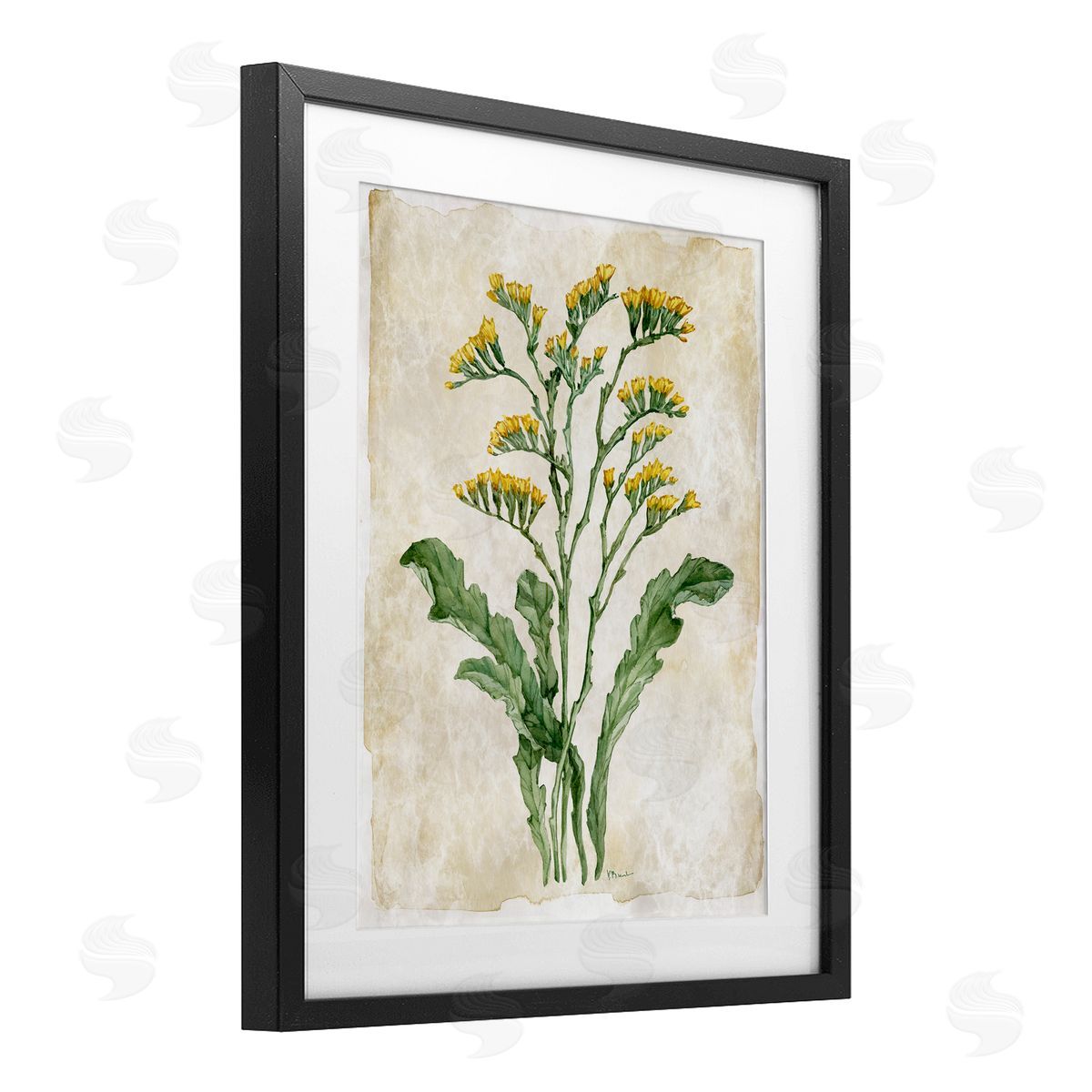 Paul Brent Vintage Floral Journal Canvas Wall Art Print