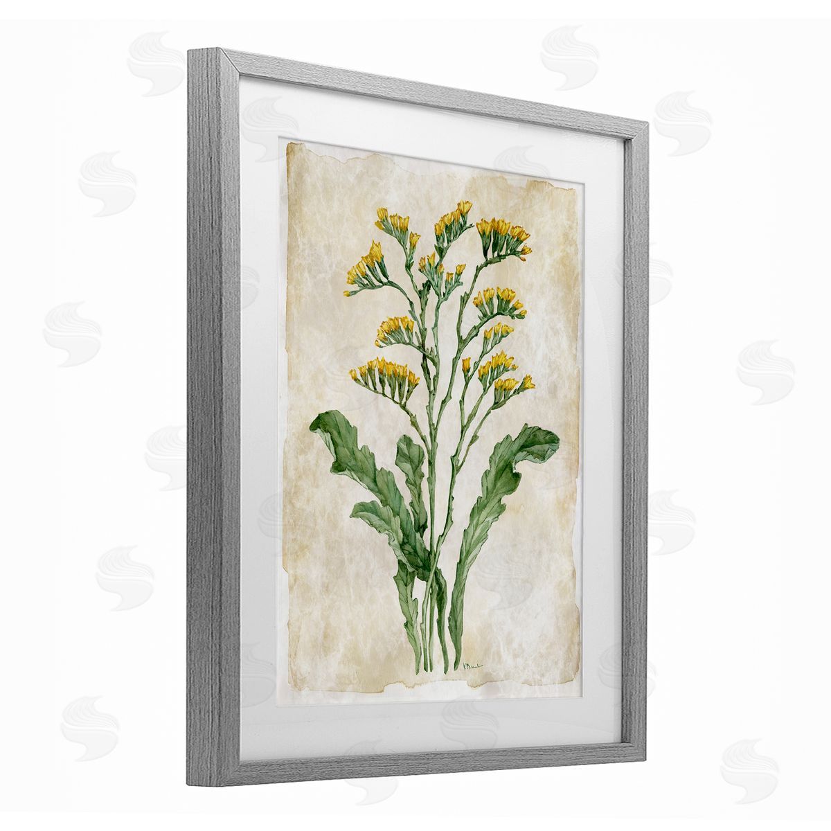 Paul Brent Vintage Floral Journal Canvas Wall Art Print