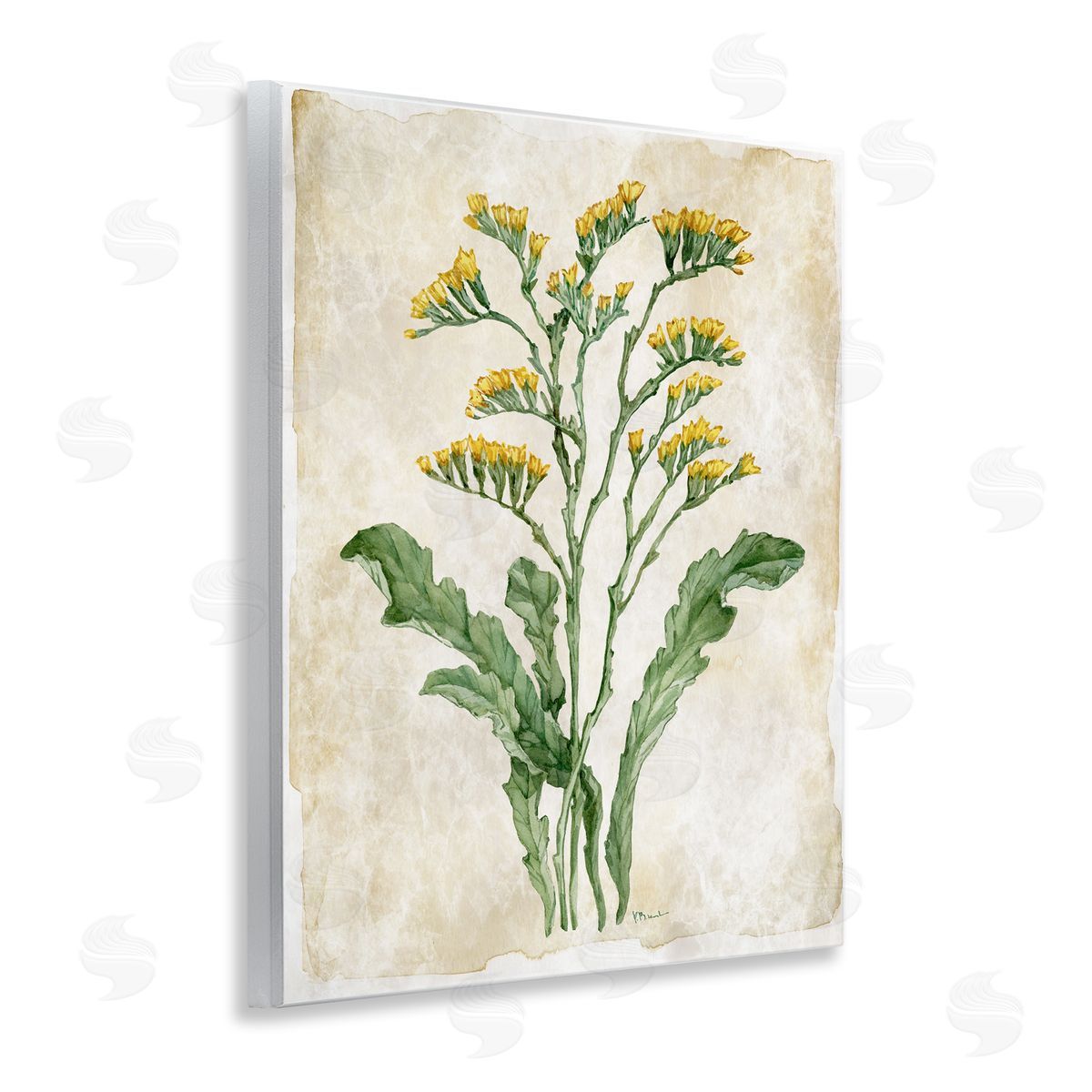 Paul Brent Vintage Floral Journal Canvas Wall Art Print