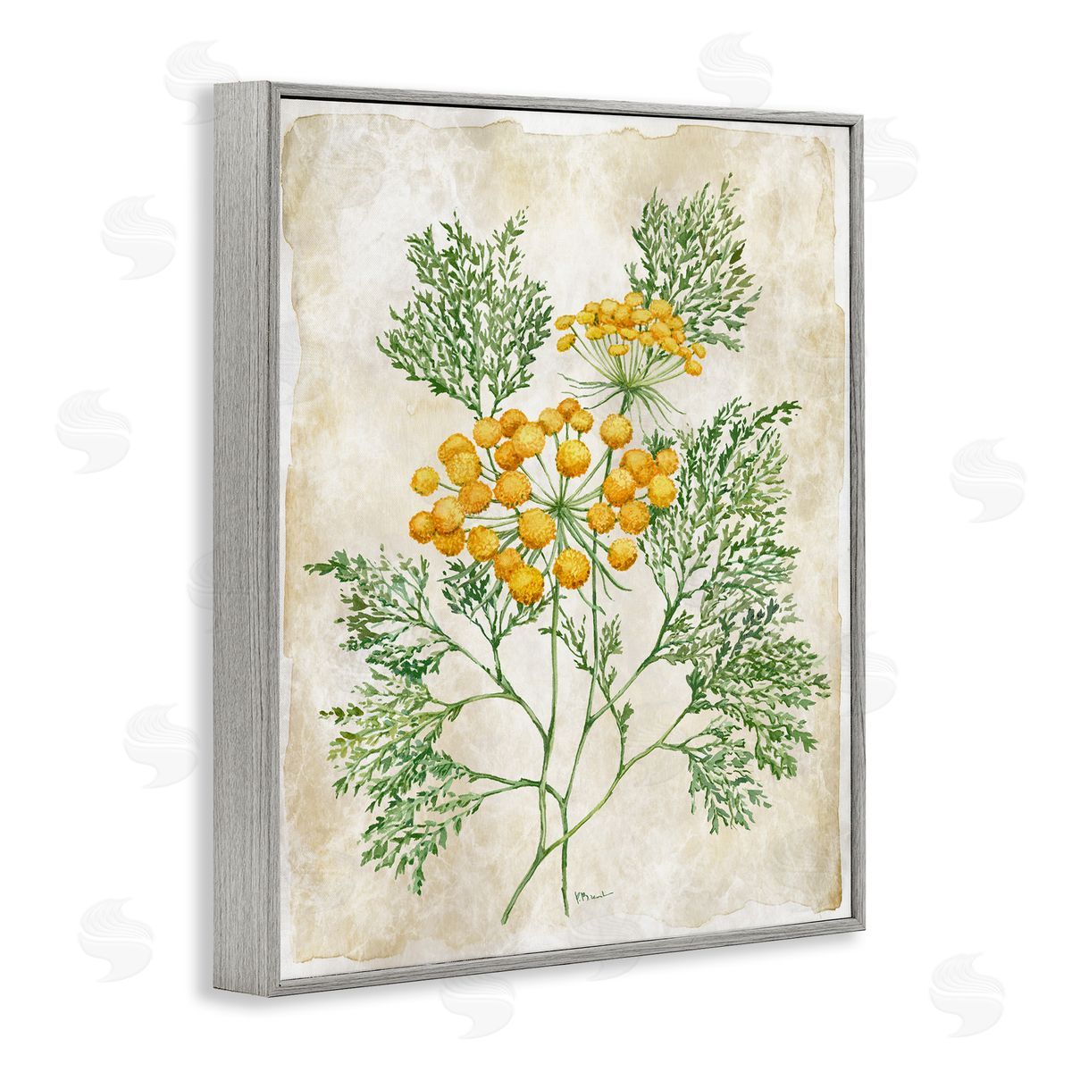 Paul Brent Botanical Journal Page Canvas Wall Art Print