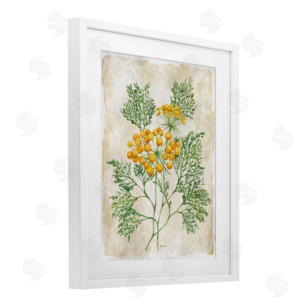 Paul Brent Botanical Journal Page Canvas Wall Art Print