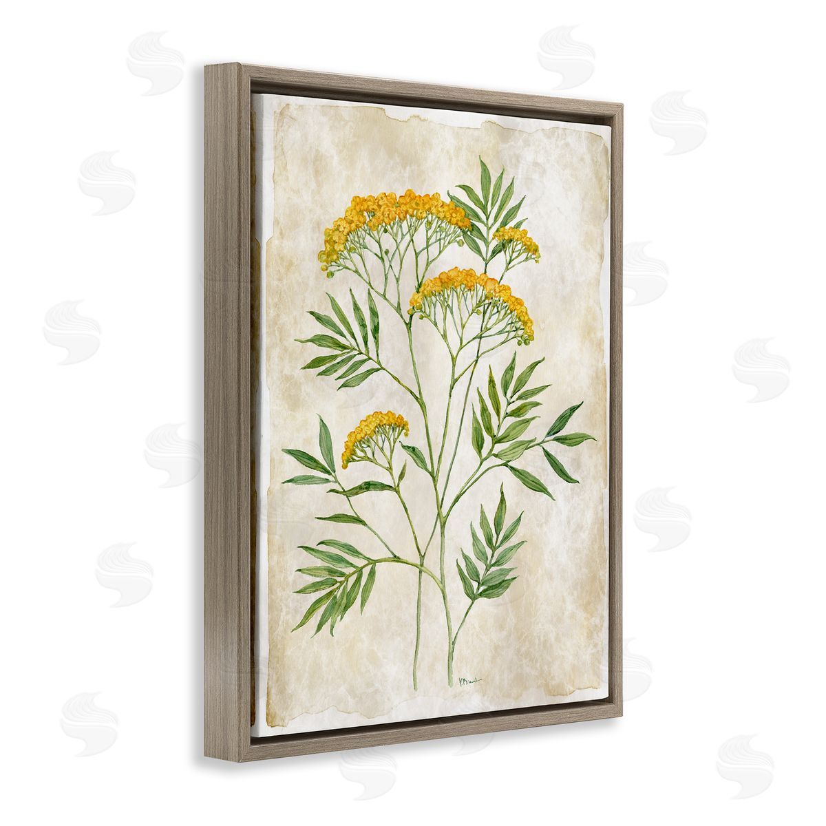 Paul Brent Vintage Flower Journal Canvas Wall Art Print