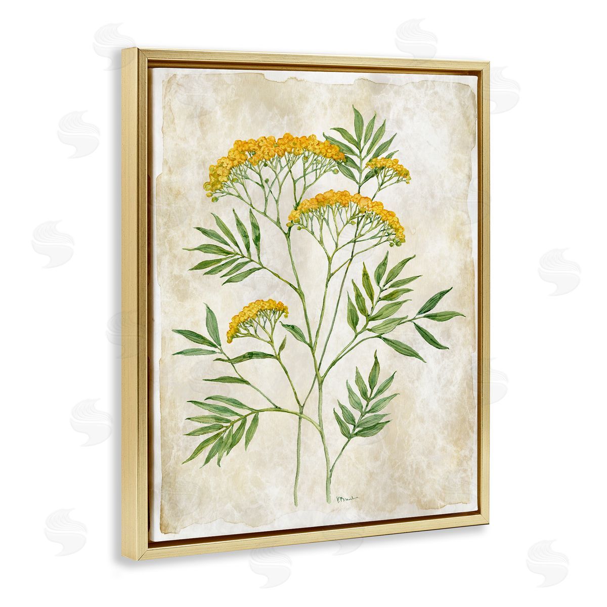 Paul Brent Vintage Flower Journal Canvas Wall Art Print