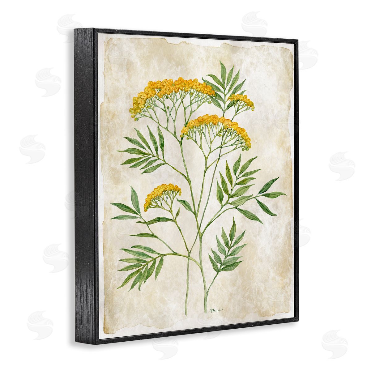 Paul Brent Vintage Flower Journal Canvas Wall Art Print