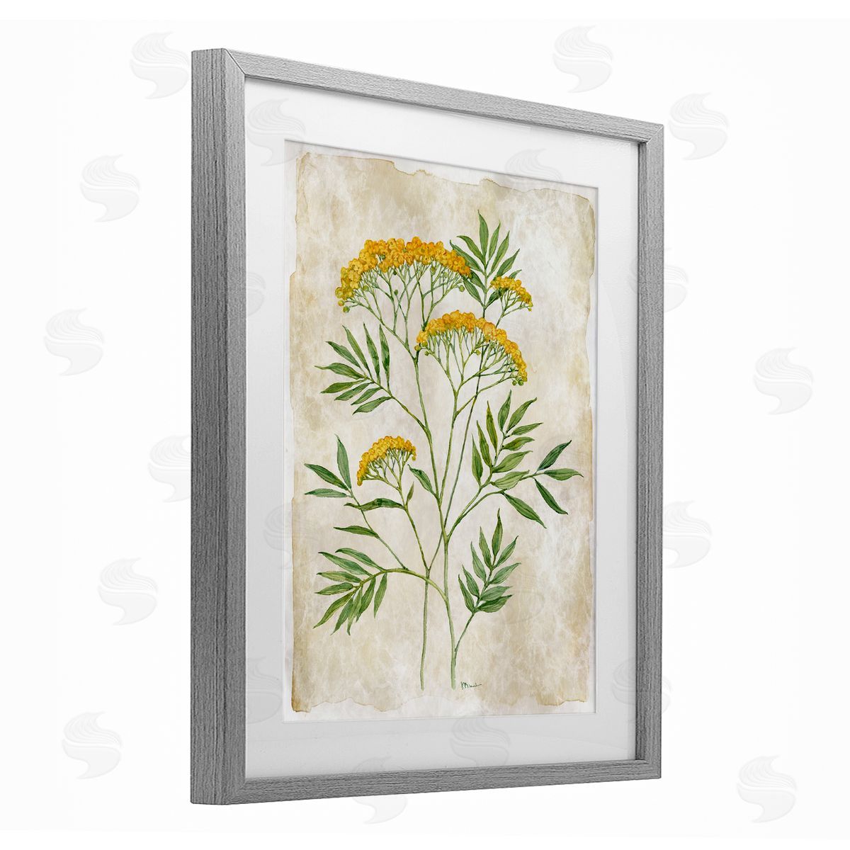 Paul Brent Vintage Flower Journal Canvas Wall Art Print
