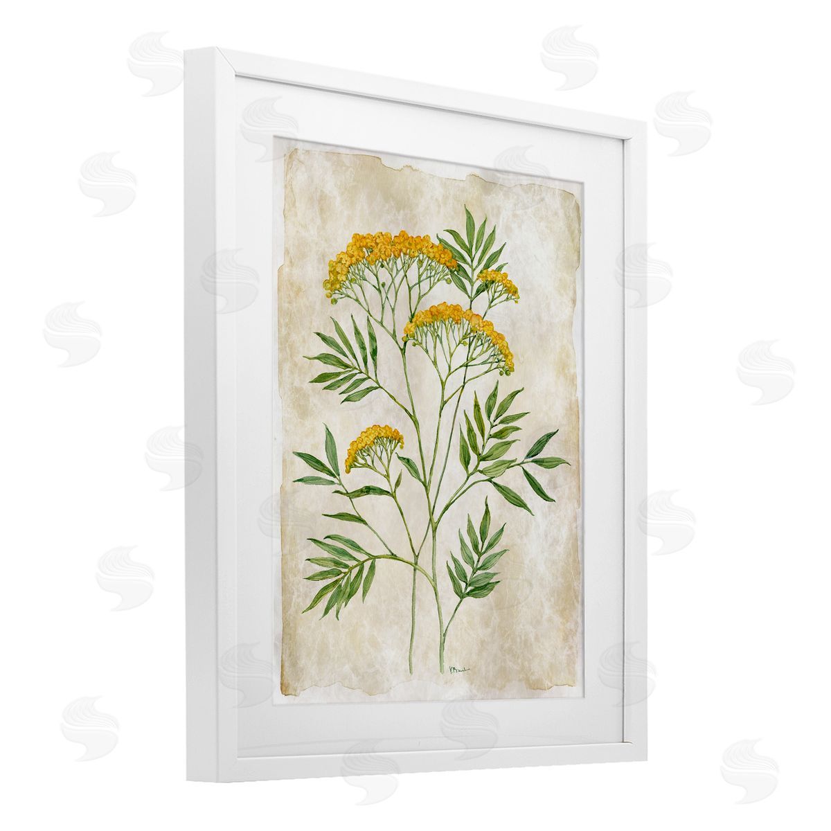 Paul Brent Vintage Flower Journal Canvas Wall Art Print
