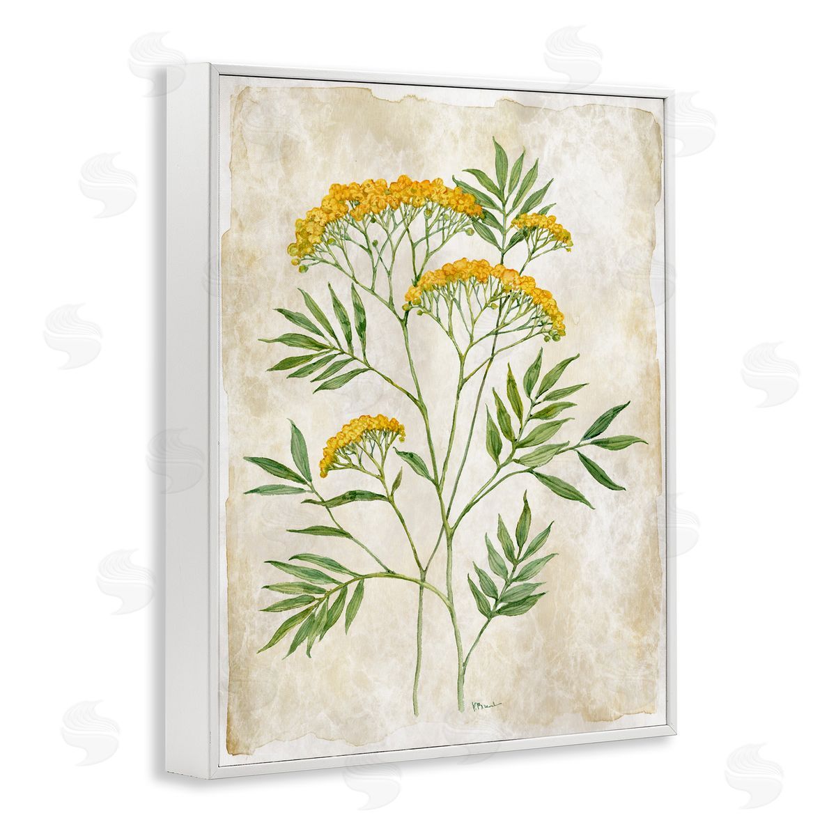 Paul Brent Vintage Flower Journal Canvas Wall Art Print