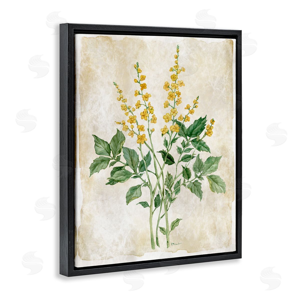 Paul Brent Floral Journal Page Canvas Wall Art Print
