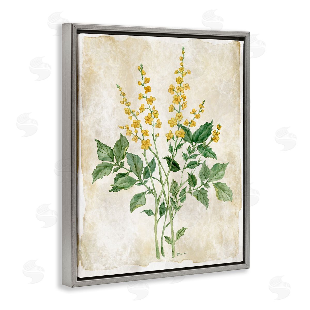 Paul Brent Floral Journal Page Canvas Wall Art Print