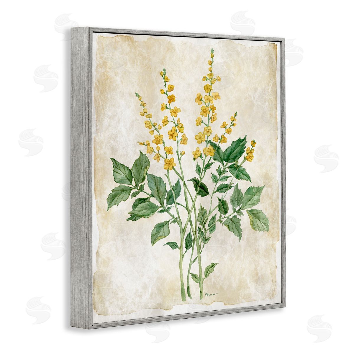 Paul Brent Floral Journal Page Canvas Wall Art Print