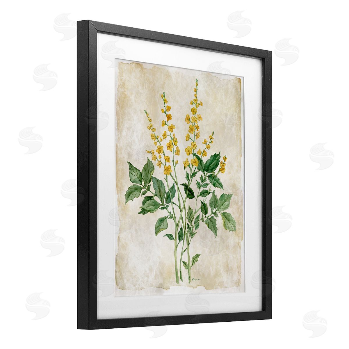 Paul Brent Floral Journal Page Canvas Wall Art Print