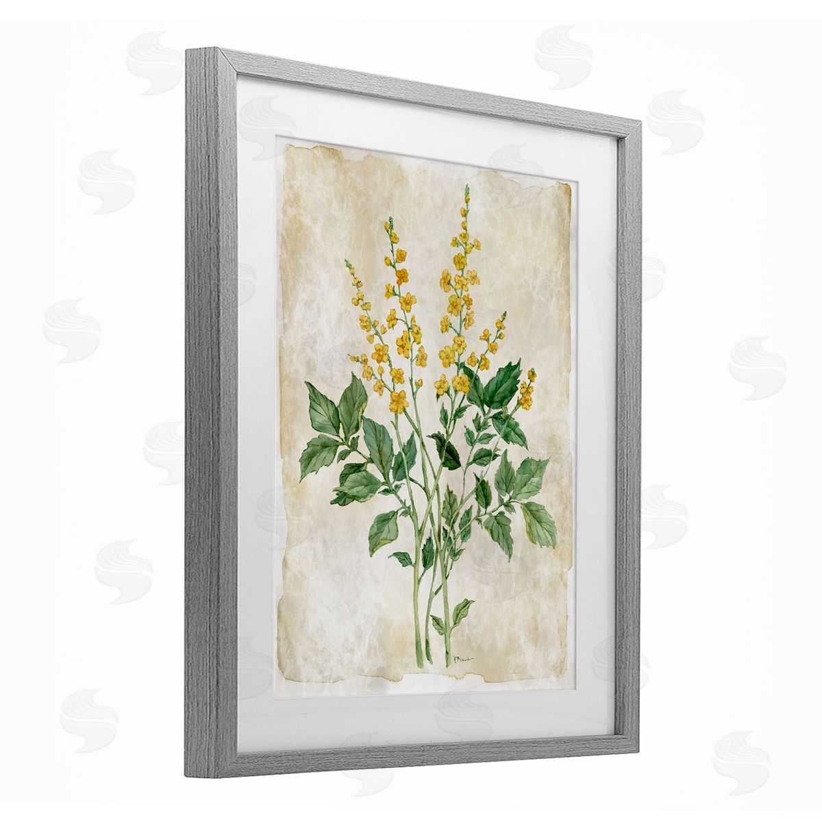 Paul Brent Floral Journal Page Canvas Wall Art Print