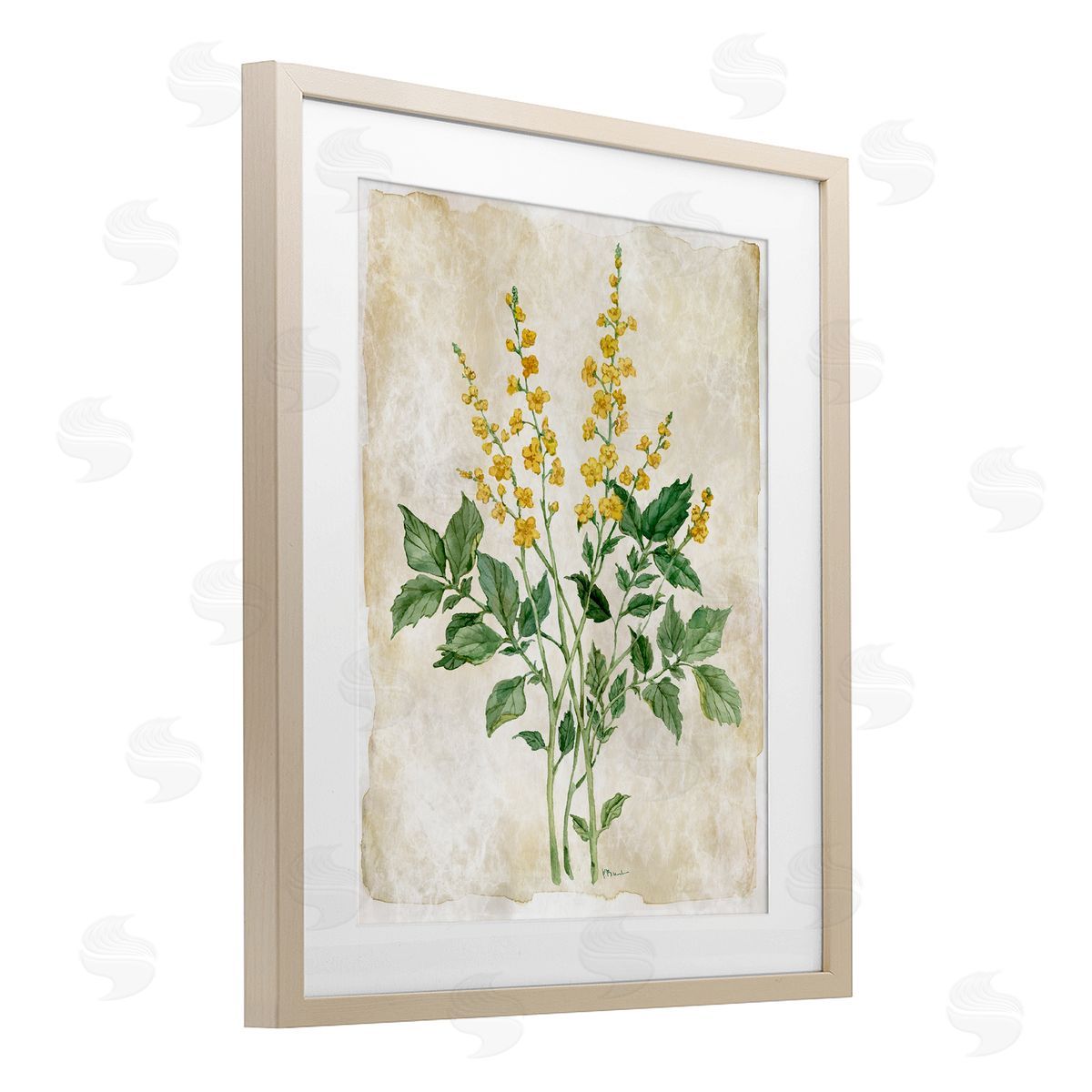 Paul Brent Floral Journal Page Canvas Wall Art Print